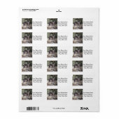 グレイハウンド ラベル (フルシート)