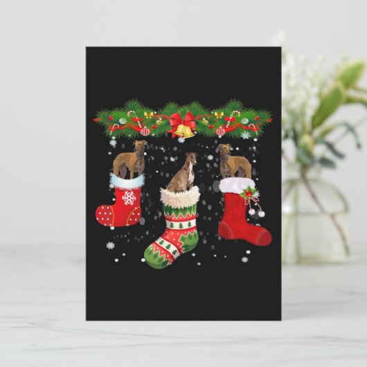グレイハウンド 犬 ソックス クリスマス サンタ (スタンド正面)