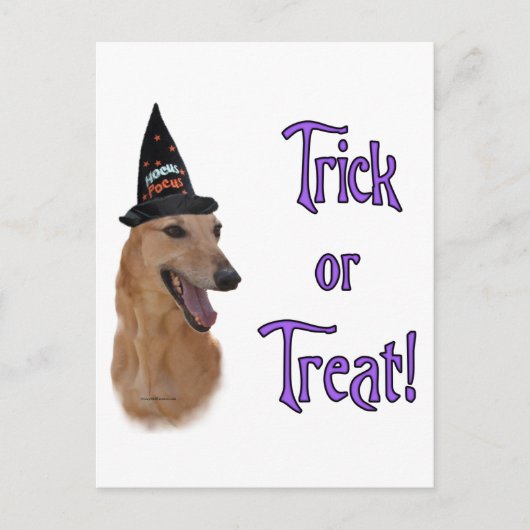 グレイハウンド（赤）トリック ポストカード (正面)