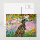 グレイハウンド(br2) – ガーデン ポストカード (正面/裏面)