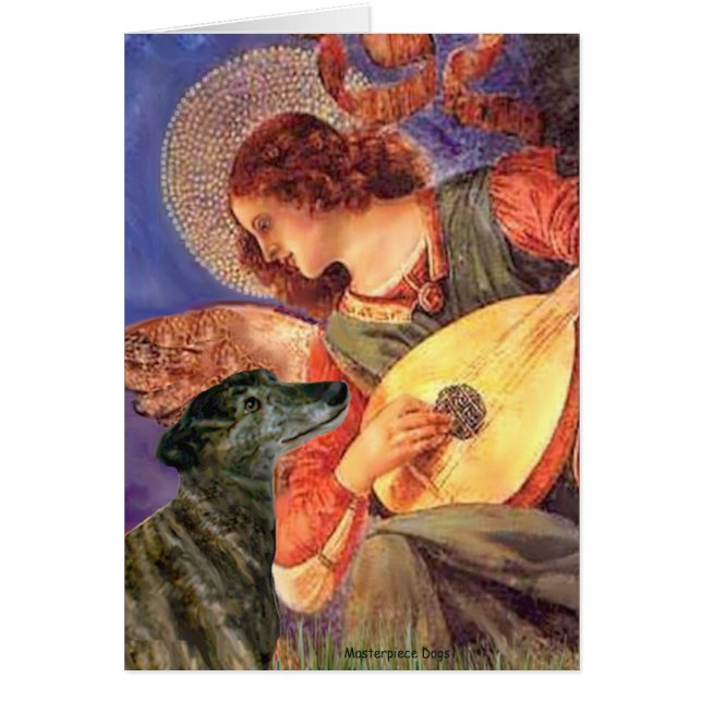 グレイハウンド(br2) - Mandolin Angel (正面)