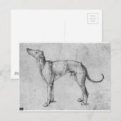 グレイハウンドbyアルブレヒト・デュラー ポストカード (正面/裏面)