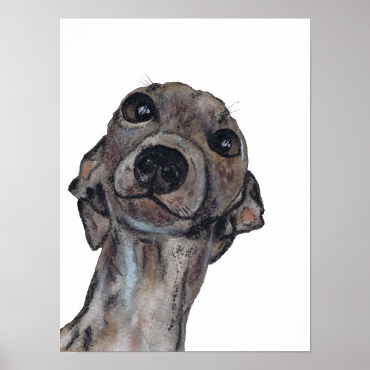 グレイハウンドg909 ポスター (正面)