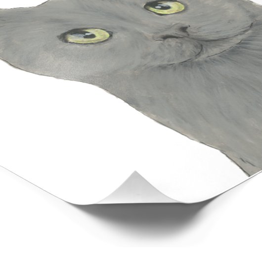 グレイパーソナライズされたシャルトレックス猫 フォトプリント (角)