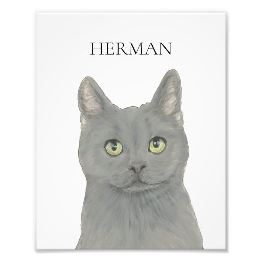 グレイパーソナライズされたシャルトレックス猫 フォトプリント (正面)