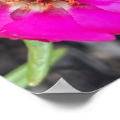 グレイフォーラデーパープルフローラプリント ポスター (角)