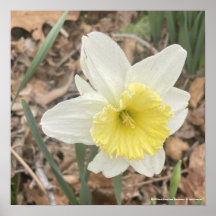 グレイフォーラデーホワイトフローラプリント