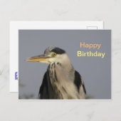 グレイヘロンの誕生日ポストカード ポストカード (正面/裏面)