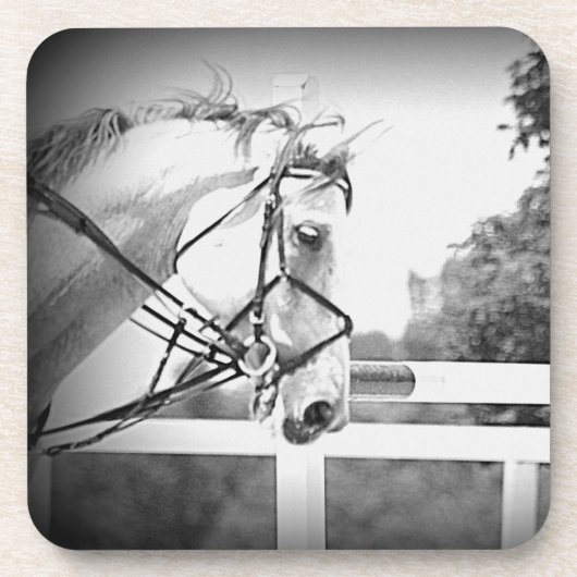 グレイホースのコースター コースター (正面)