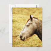 グレイマーレ ポストカード (正面/裏面)