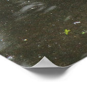 グレイラググース。ロースパークレイク、カーディフ、ウェールズPos ポスター (角)