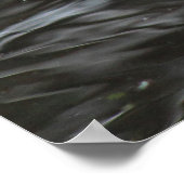 グレイラググース。ロースパークレイク、カーディフ、ウェールズPos ポスター (角)