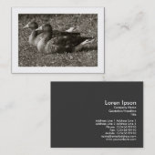 グレイラグゲーゼセピア縁ど(Greylag Geese Sepia) 名刺 (正面/裏面)