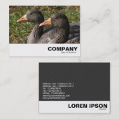 グレイラグゲーゼ 名刺 (正面/裏面)