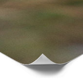 グレイラグスワンガースクロス ポスター (角)