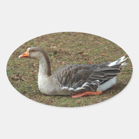 グレイラグスワンガースクロス 楕円形シール (正面)