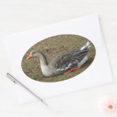 グレイラグスワンガースクロス 楕円形シール (封筒)