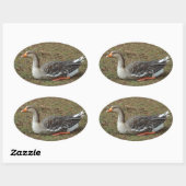 グレイラグスワンガースクロス 楕円形シール (シート)