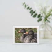 グレイラグ縁どゲーゼ 名刺 (スタンド正面)