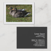 グレイラグ縁どゲーゼ 名刺 (正面/裏面)