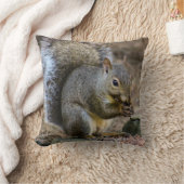 グレイリスと(昆虫)オオカバマダラ、モナークバタフライ装飾用クッション クッション (ブランケット)