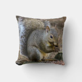 グレイリスと(昆虫)オオカバマダラ、モナークバタフライ装飾用クッション クッション (正面)