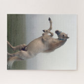 グレイルシタノスタリオンミストで飼育 ジグソーパズル (横)