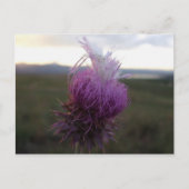 グレインに ポストカード (正面)