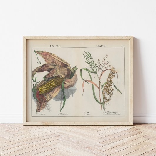 グレイン | シャーロッテメアリーヨンゲ ポスター