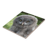 グレイ型フクロウ タイル (側面)