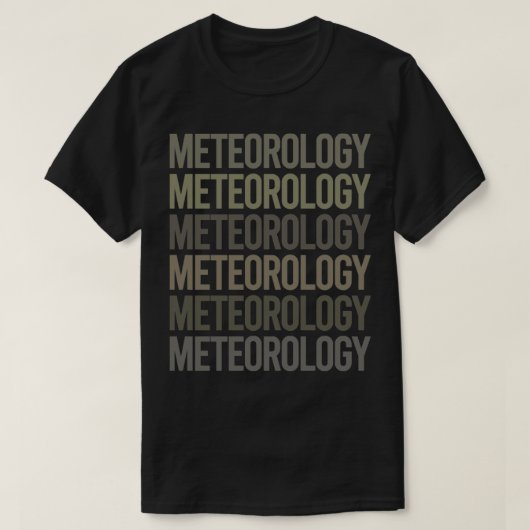 グレイ文字美術気象予報士 Tシャツ (デザイン正面)