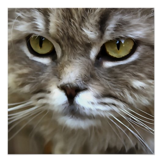 グレイ素晴らしキャットペット芸術的ポートレート ポスター (正面)