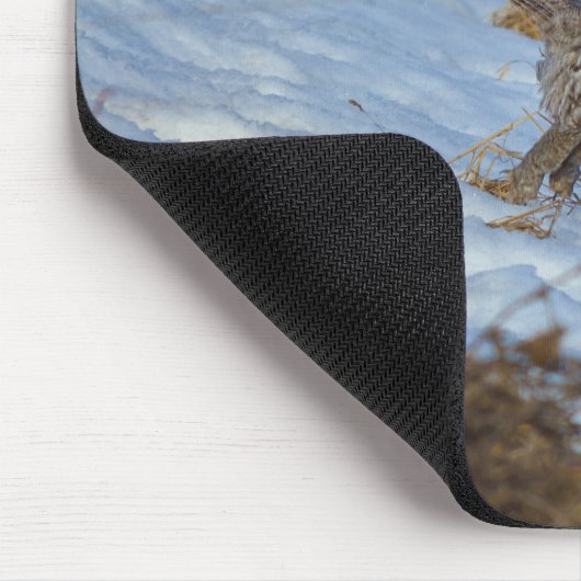 グレイ素晴らしフクロウとスノーワイルドライフラプターの発射 マウスパッド (コーナー)