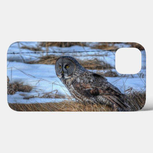 グレイ素晴らしフクロウとフェンジェリン野生生物写真ポートレート Case-Mate iPhoneケース (裏面 (横))