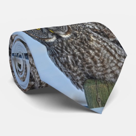 グレイ素晴らしフクロウポートレートIIワイルドライフラバータイ ネクタイ (ロール)