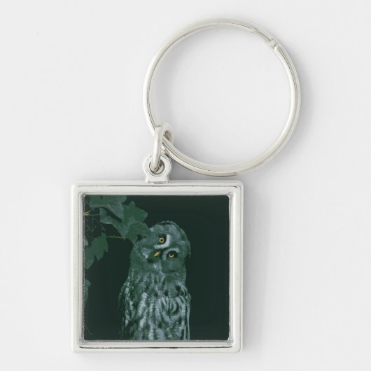 グレイ素晴らしフクロウ キーホルダー (正面)