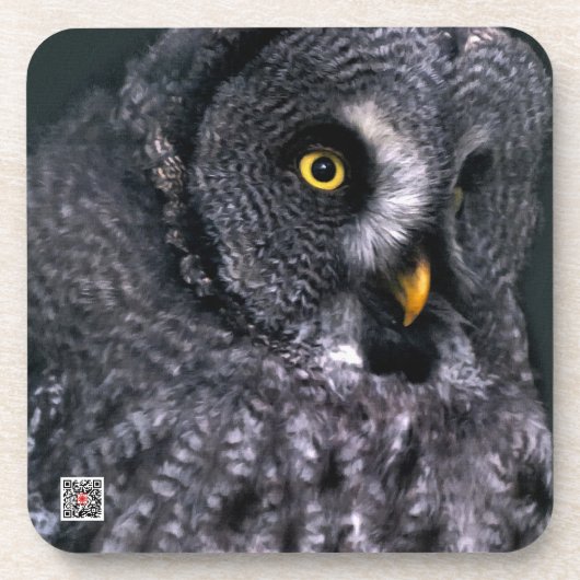 グレイ素晴らしフクロウ コースター (正面)