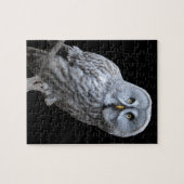 グレイ素晴らしフクロウ ジグソーパズル (横)