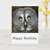 グレイ素晴らしフクロウ – ハッピーバースデーカード カード (黄色い花)