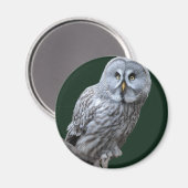 グレイ素晴らしフクロウ マグネット (正面/裏面)