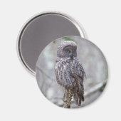 グレイ素晴らしフクロウ マグネット (正面/裏面)