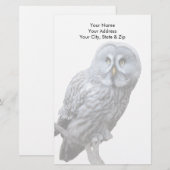 グレイ素晴らしフクロウ 便箋 (正面/裏面)