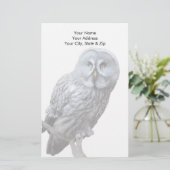 グレイ素晴らしフクロウ 便箋 (スタンド正面)