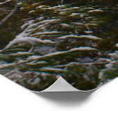 グレイ美しい ポスター (角)