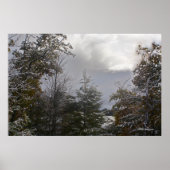 グレイ美しい ポスター (正面)