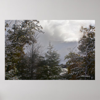 グレイ美しい ポスター