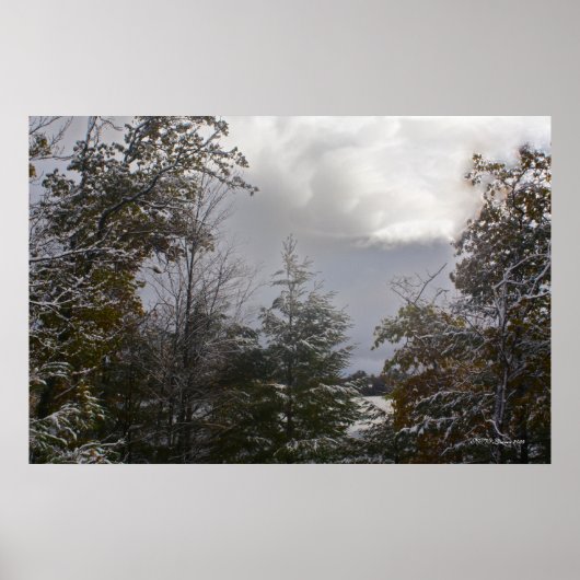 グレイ美しい ポスター (正面)