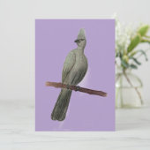 グレイ遠くにゴ鉛筆スケッチ シーズンカード (スタンド正面)