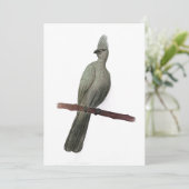 グレイ遠くにゴ鉛筆スケッチ シーズンカード (スタンド正面)