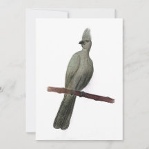 グレイ遠くにゴ鉛筆スケッチ